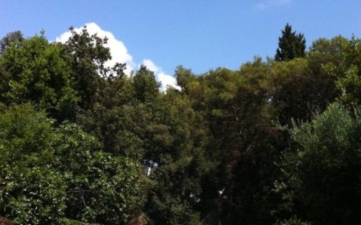 Villa, Umag, Croatia