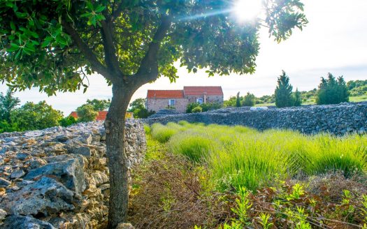 Villa, Jelsa, Croatia