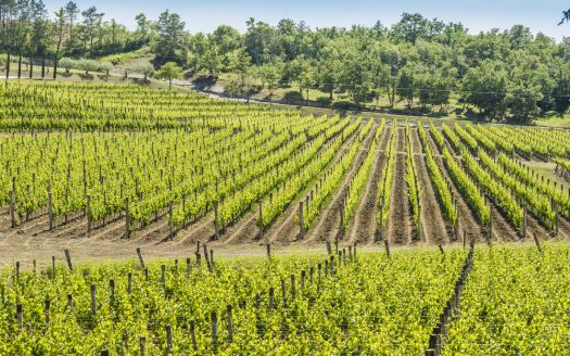 Villa, Merišće, Croatia